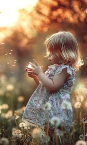 99dd07b3ee06721648179ecbc3ef8267