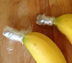 f83d2b26325dc2884532756760938f3b